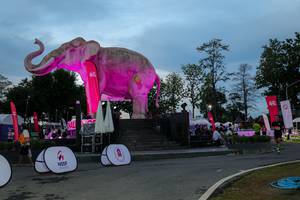 BIB: 
                            <button type="button" onclick="openModal(26529652)" class="btn btn-primary btn-sm float-right btn-popup" data-toggle="modal" data-target=".modal-high-quality">
                        <i class="fas fa-shopping-cart"></i> Add to Cart
                    </button>
                                            <button type="button" onclick="isThisMe(26529652, true)" class="btn btn-success btn-sm float-right btn-popup btn-isme hidden" data-toggle="tooltip" data-placement="bottom" title="นี่คือรูปของคุณใช่ไหม คลิกที่นี่เพื่อเอาเข้าอัลบั้ม">
                        <i class="fas fa-plus"></i> Add to album
                    </button>
                    <button type="button" onclick="isThisMe(26529652, false)" class="btn btn-warning btn-sm float-right btn-popup btn-isnotme hidden">
                        <i class="fas fa-ban"></i> Remove from album
                    </button>